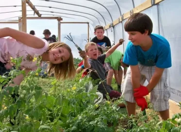 How Do NJ Farm to School Gardens Help Students Understand Sustainable Development?